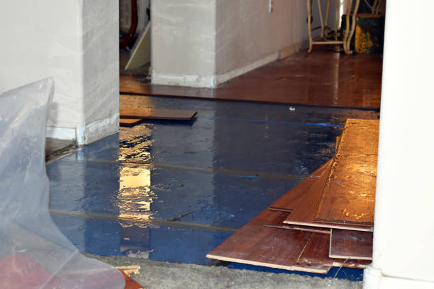 Professional Flood Damage Restoration technician working in Clinton, IL
